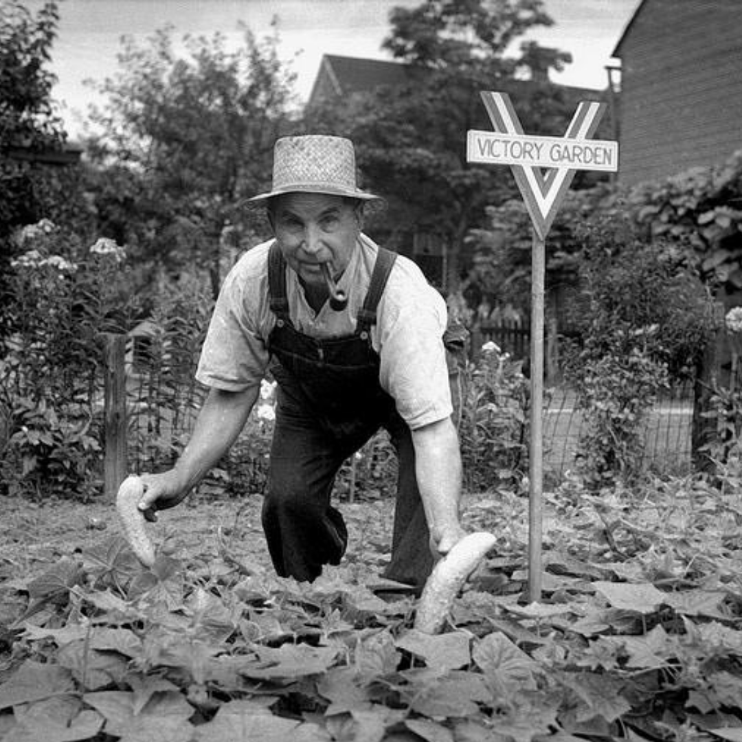 Dad & Garden