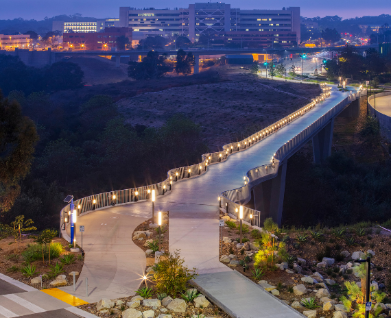 An Orchid Award-Winning Bridge